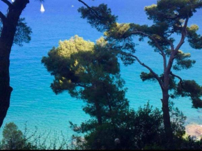 Finestra sul mare, piscina e spiaggia privata Cervo